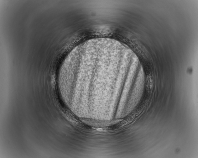 X0000098170564200805151119