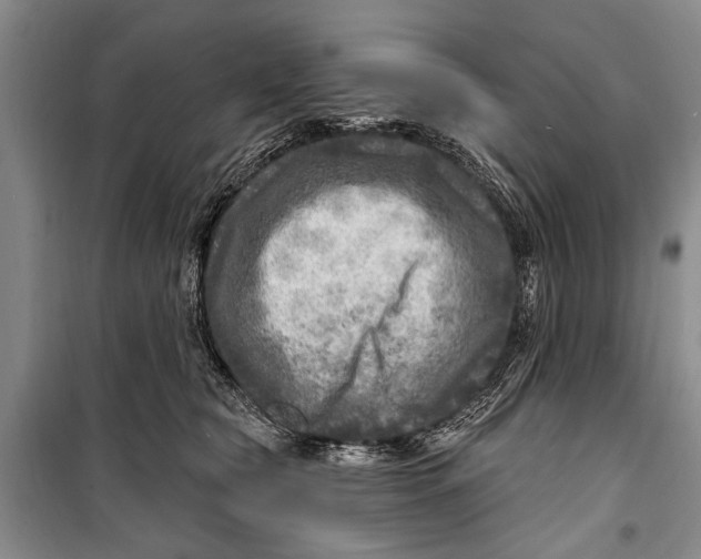 X0000098170565200805151119