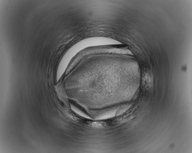 X0000098170566200805151119