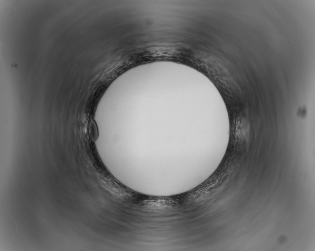 X0000098170567200805151119