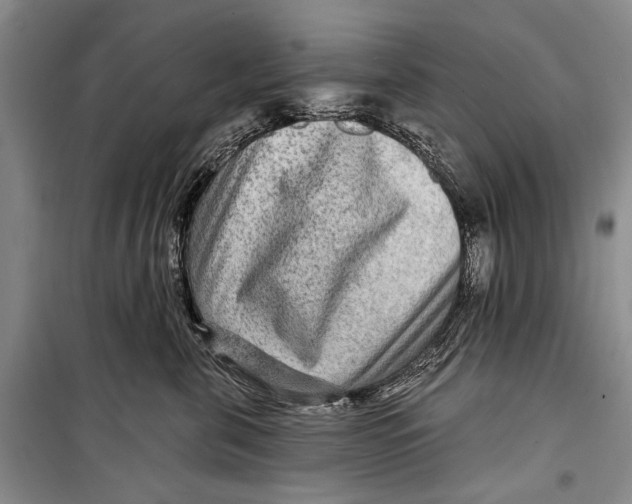 X0000098170571200805151119