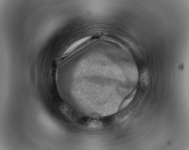 X0000098170572200805151119