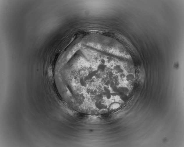 X0000098170573200805151119