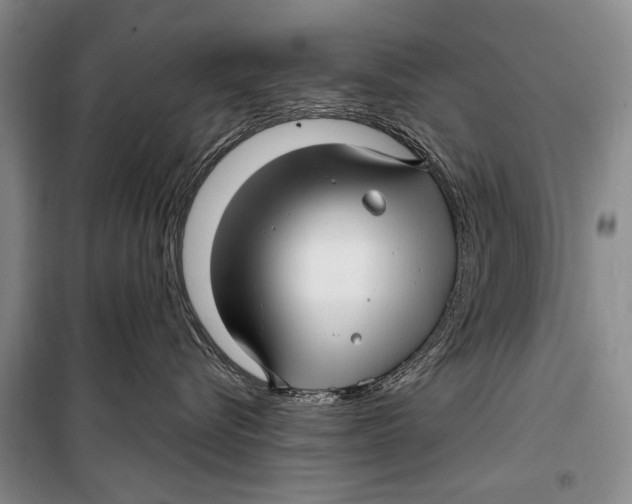 X0000098170576200805151119