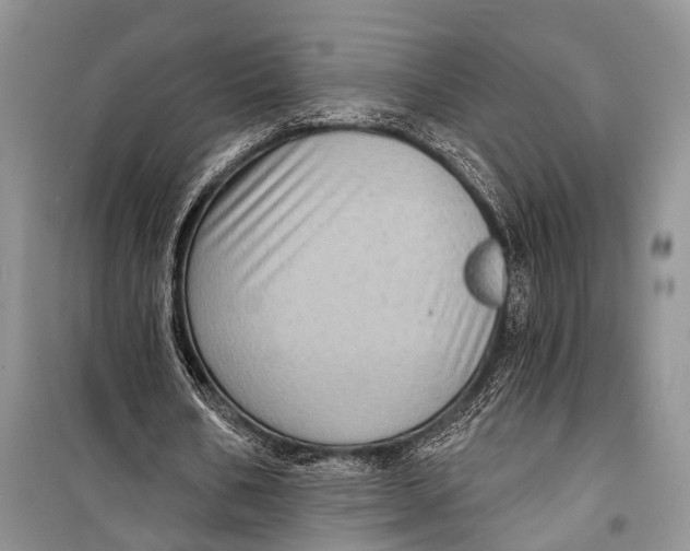 X0000098170578200805151119