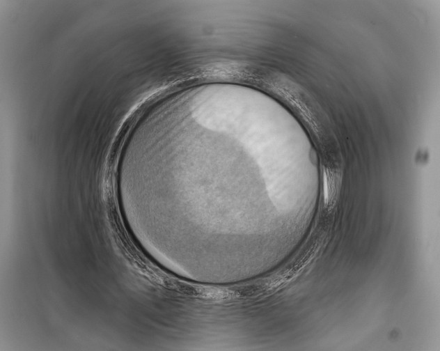 X0000098170579200805151119