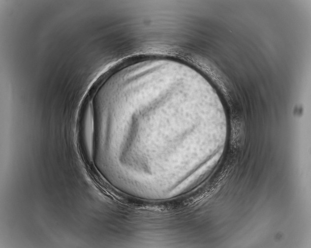 X0000098170580200805151119