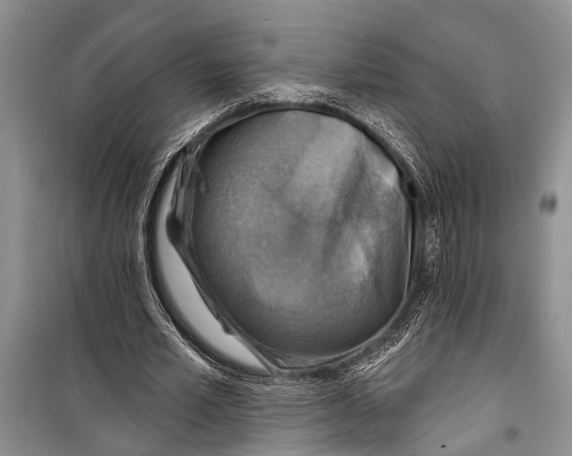 X0000098170581200805151119