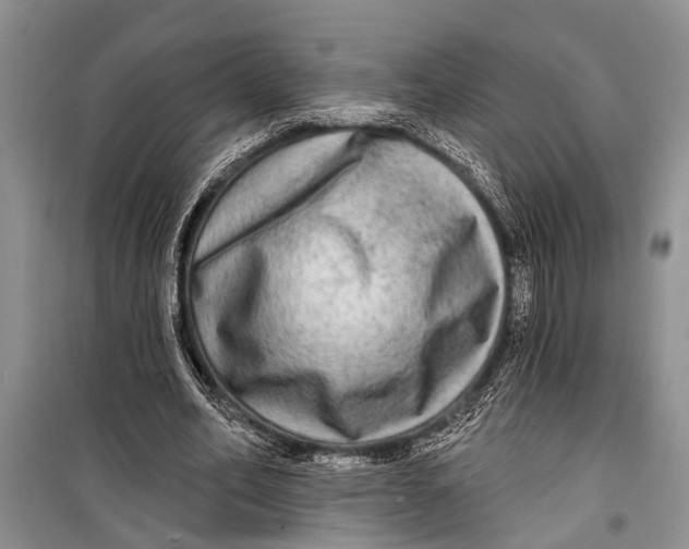 X0000098170582200805151119