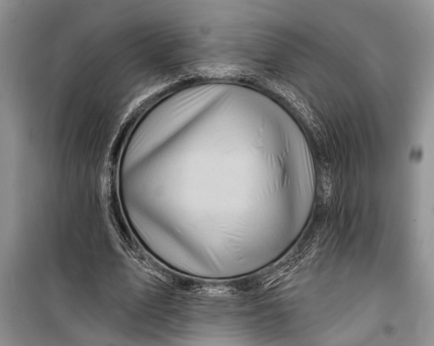 X0000098170583200805151119