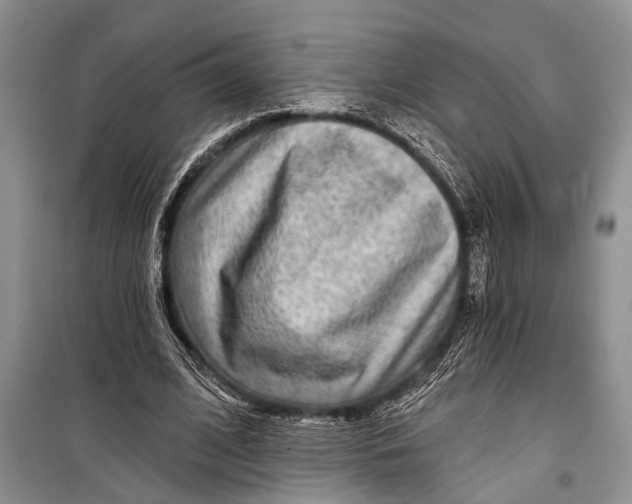 X0000098170584200805151119