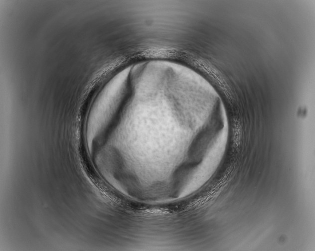 X0000098170586200805151119