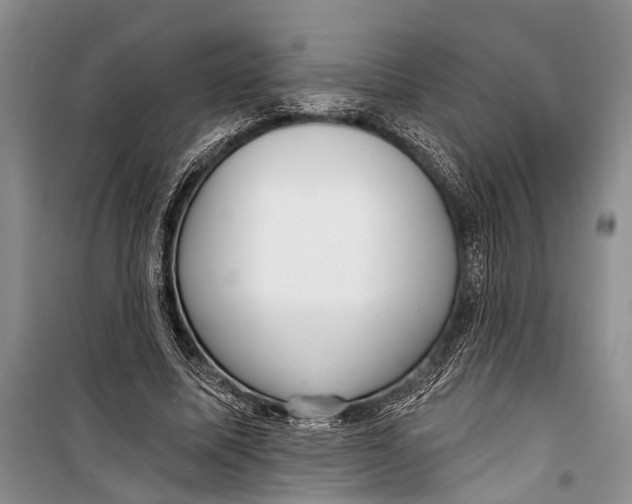 X0000098170587200805151118