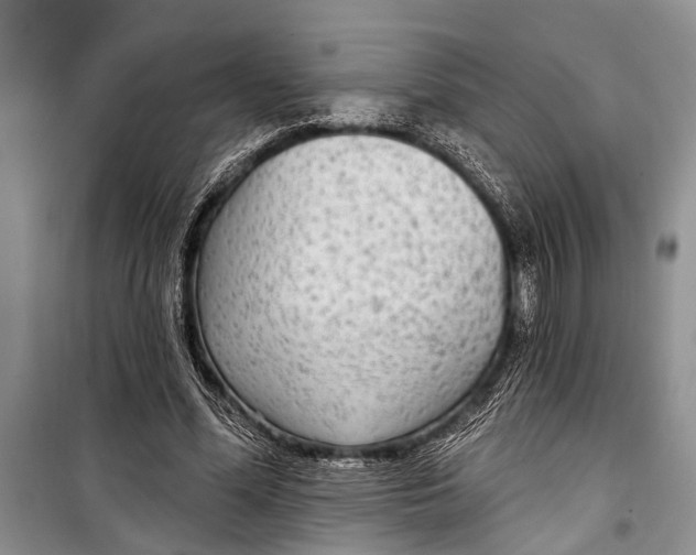 X0000098170588200805151118