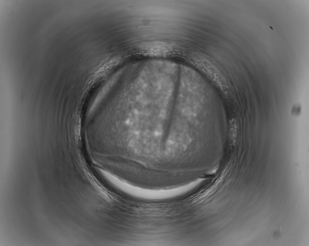 X0000098170589200805151118