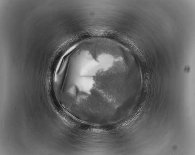 X0000098170590200805151118