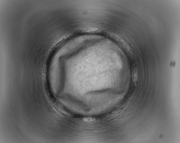 X0000098170591200805151118