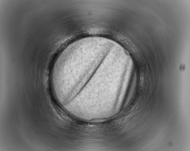 X0000098170592200805151118