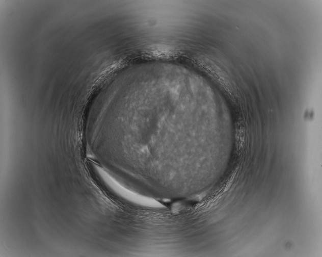 X0000098170593200805151118