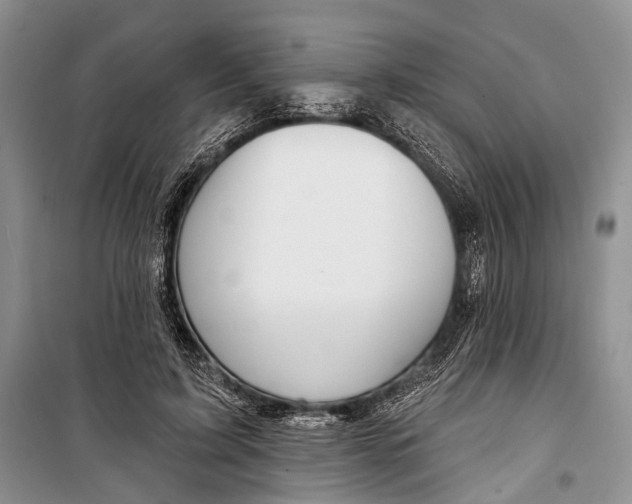 X0000098170595200805151118