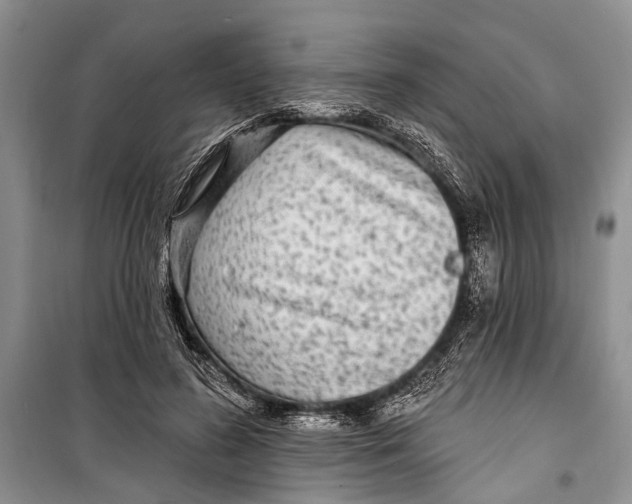 X0000098170596200805151118