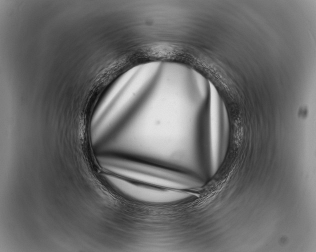 X0000098170597200805151118