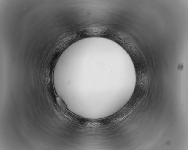 X0000098170599200805151118