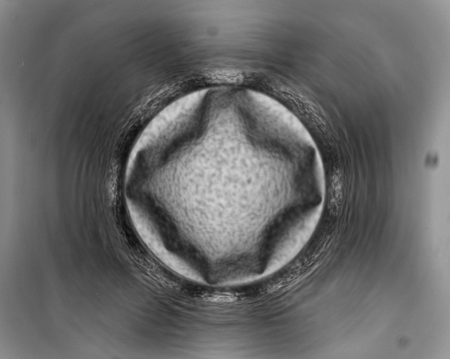 X0000098170600200805151118