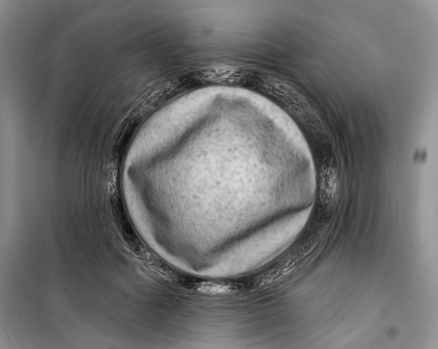 X0000098170602200805151118