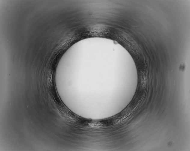 X0000098170603200805151118