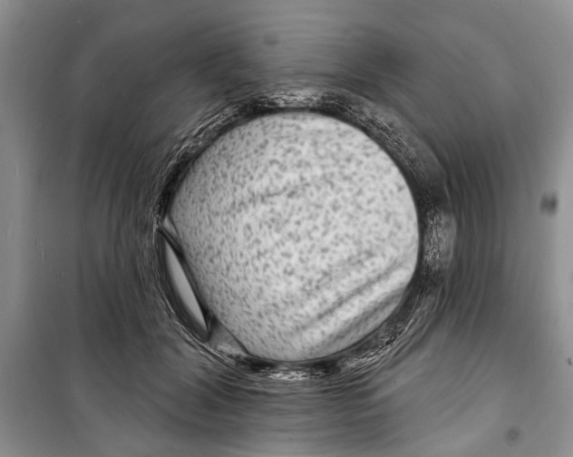 X0000098170604200805151118