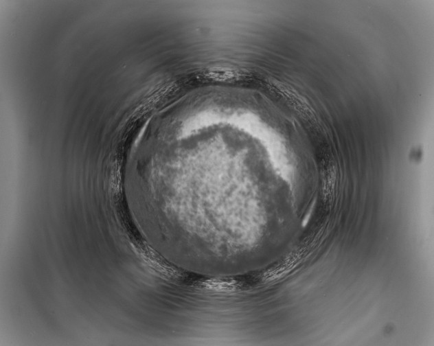 X0000098170606200805151118