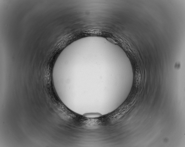 X0000098170609200805151118