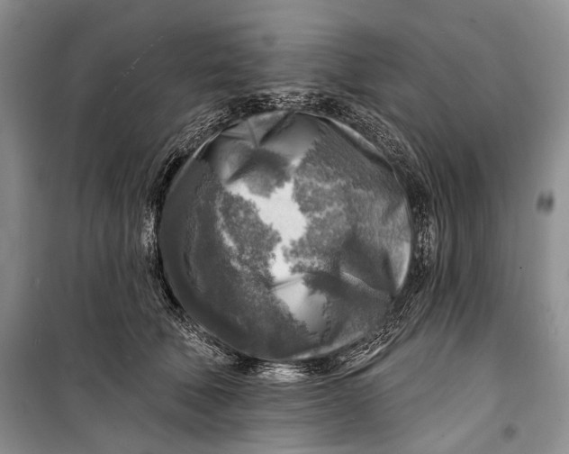 X0000098170610200805151118