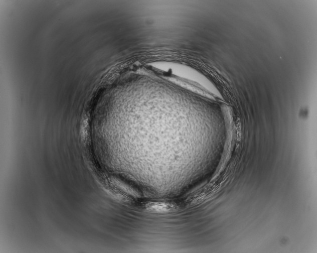 X0000098170611200805151118