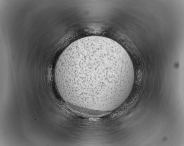 X0000098170612200805151118