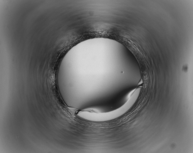 X0000098170613200805151118