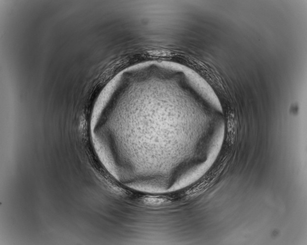 X0000098170614200805151118