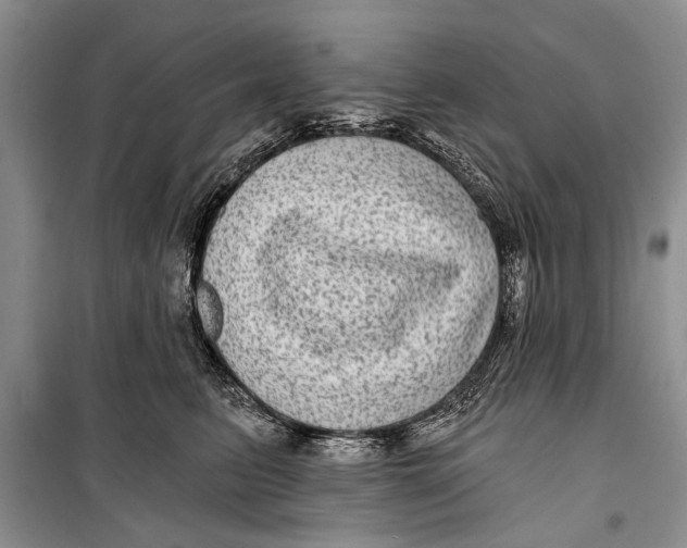 X0000098170615200805151118