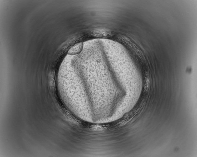 X0000098170616200805151118