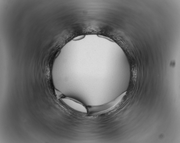 X0000098170617200805151118