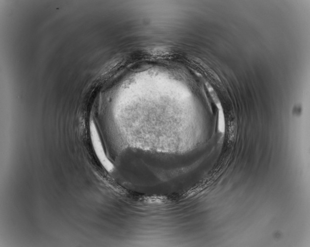 X0000098170618200805151118