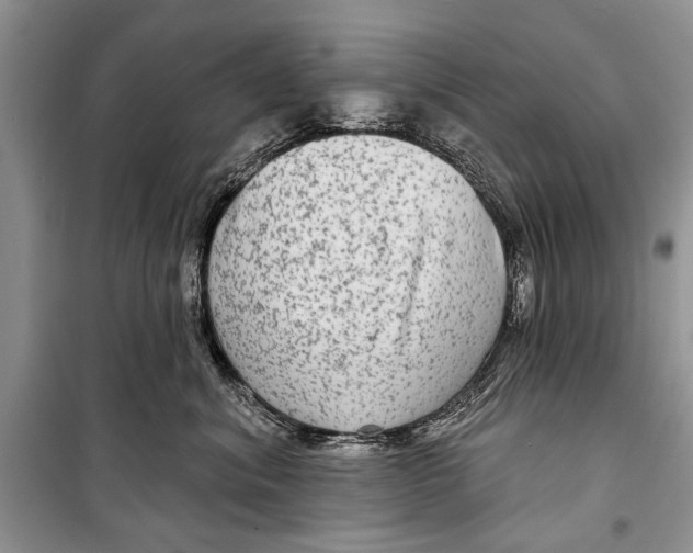 X0000098170620200805151118