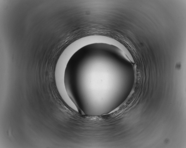 X0000098170621200805151118