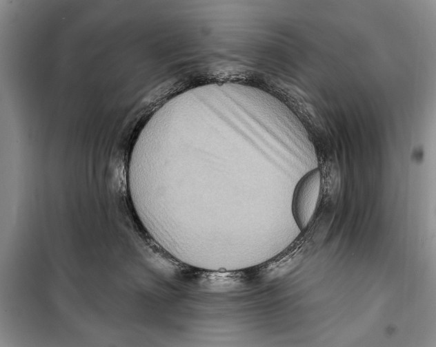 X0000098170622200805151118