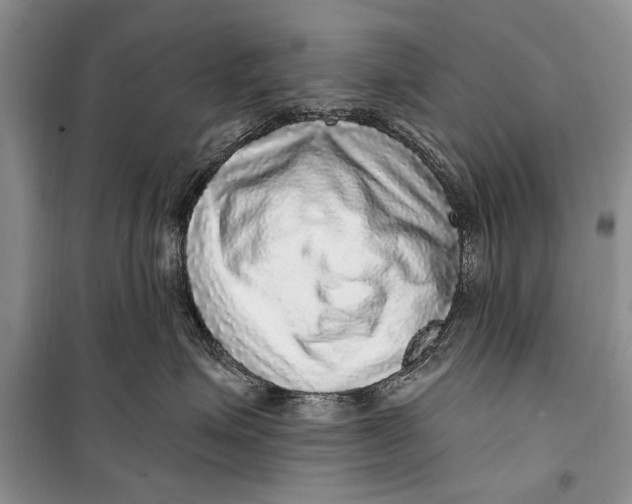 X0000098170623200805151118