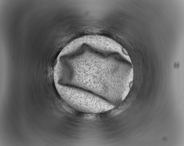 X0000098170624200805151118