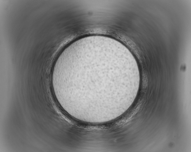 X0000098170625200805151117