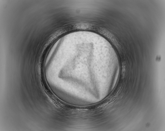 X0000098170626200805151117