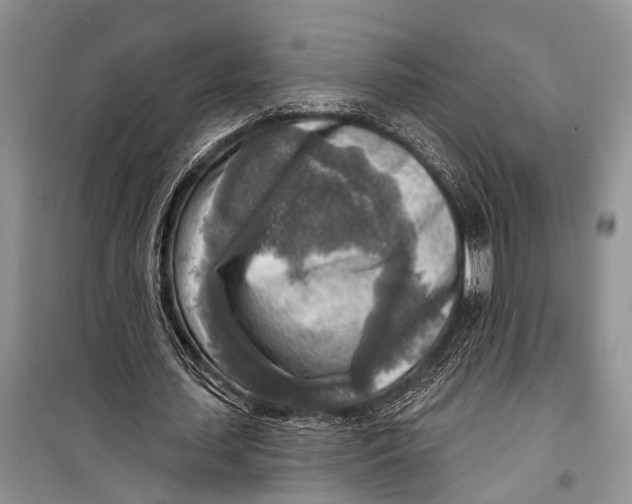 X0000098170627200805151117